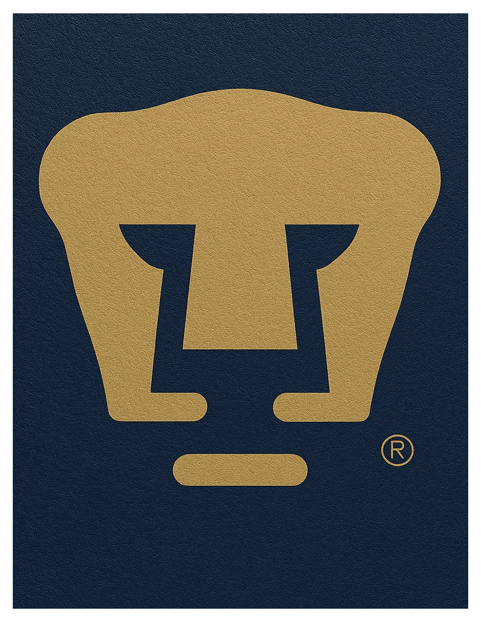 Pants Pumas para niño 3