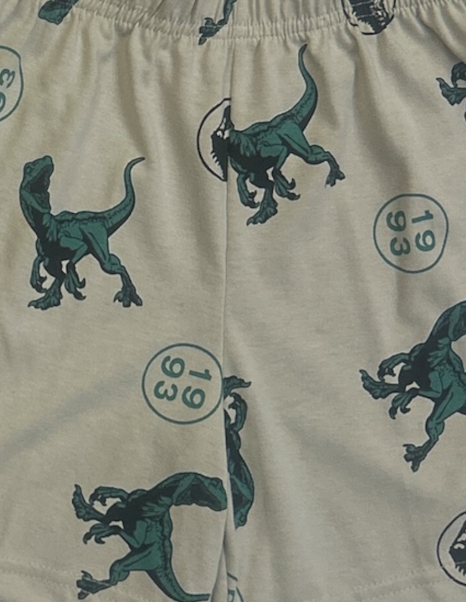Conjunto pijama para niño 4